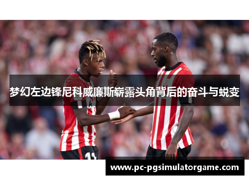 梦幻左边锋尼科威廉斯崭露头角背后的奋斗与蜕变