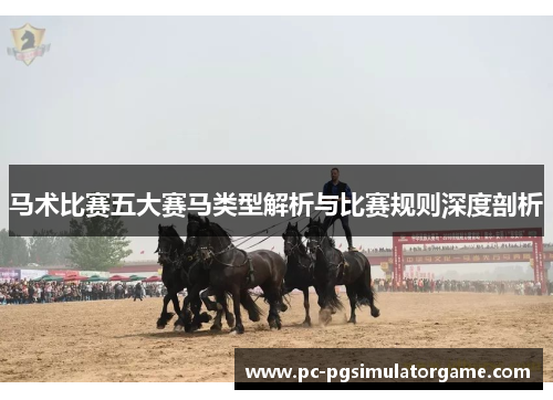 马术比赛五大赛马类型解析与比赛规则深度剖析