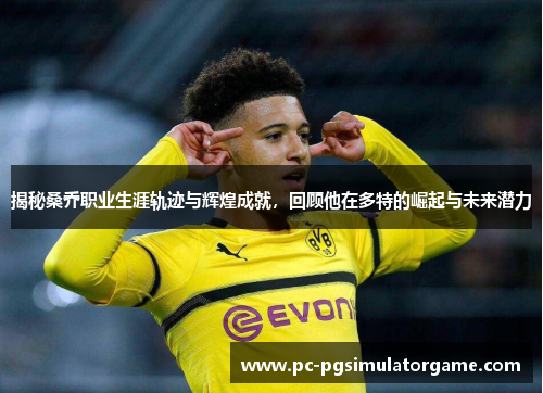揭秘桑乔职业生涯轨迹与辉煌成就，回顾他在多特的崛起与未来潜力