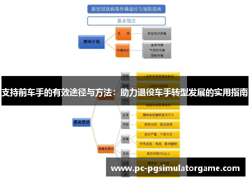 支持前车手的有效途径与方法：助力退役车手转型发展的实用指南