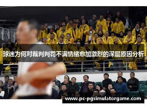 球迷为何对裁判判罚不满情绪愈加激烈的深层原因分析