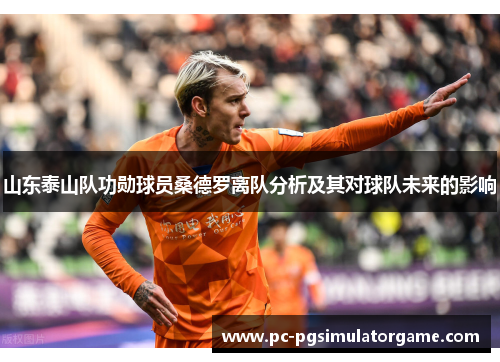 山东泰山队功勋球员桑德罗离队分析及其对球队未来的影响