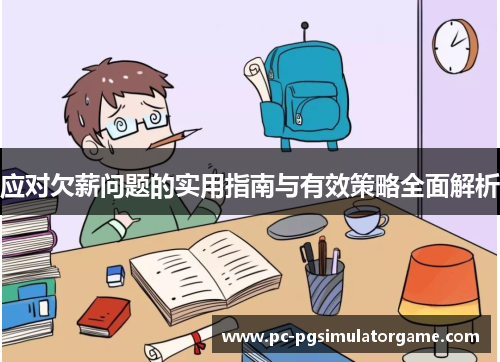 应对欠薪问题的实用指南与有效策略全面解析