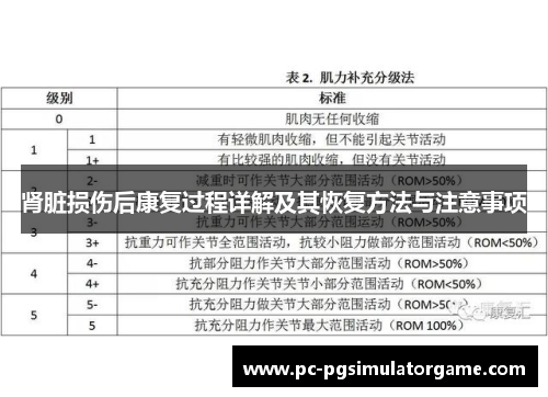肾脏损伤后康复过程详解及其恢复方法与注意事项