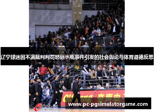 辽宁球迷因不满裁判判罚怒砸水瓶事件引发的社会舆论与体育道德反思