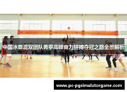 中国冰壶混双团队勇攀高峰奋力拼搏夺冠之路全景解析