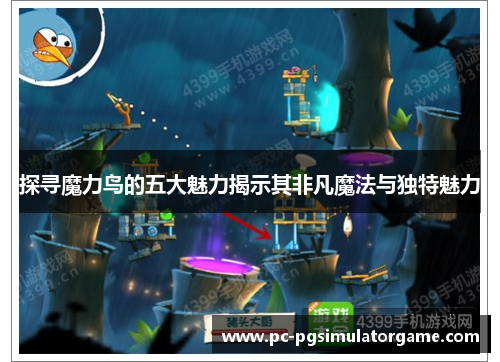 探寻魔力鸟的五大魅力揭示其非凡魔法与独特魅力