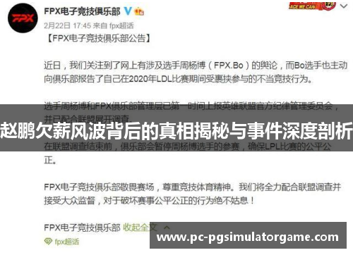 赵鹏欠薪风波背后的真相揭秘与事件深度剖析