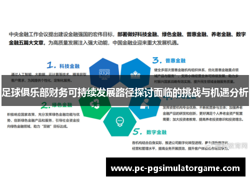 足球俱乐部财务可持续发展路径探讨面临的挑战与机遇分析
