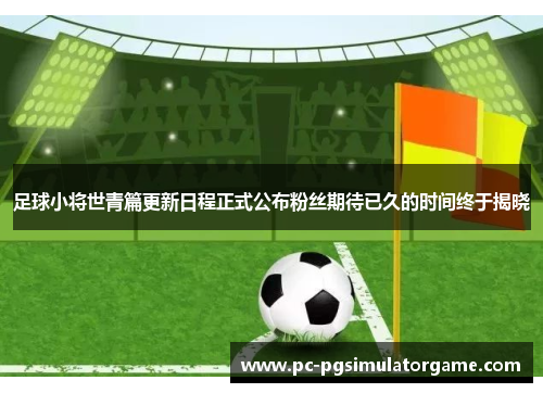 足球小将世青篇更新日程正式公布粉丝期待已久的时间终于揭晓