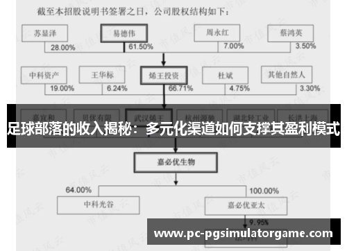 足球部落的收入揭秘:多元化渠道如何支撑其盈利模式 足球部落的收入揭秘:多元化渠道如何支撑其盈利模式