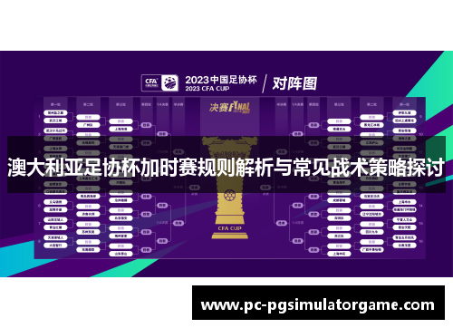 澳大利亚足协杯加时赛规则解析与常见战术策略探讨