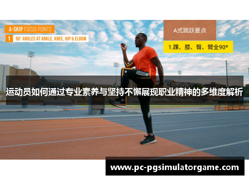 运动员如何通过专业素养与坚持不懈展现职业精神的多维度解析