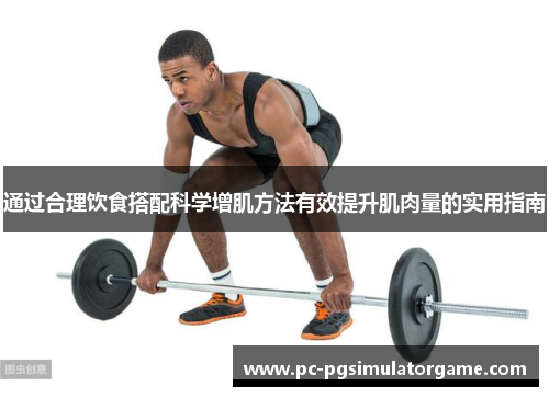通过合理饮食搭配科学增肌方法有效提升肌肉量的实用指南